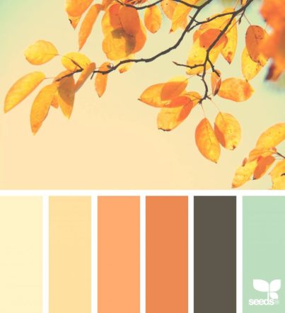 c9 color inspiration