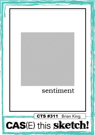 case this sketch 311